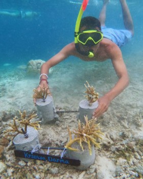 Marine Conservation